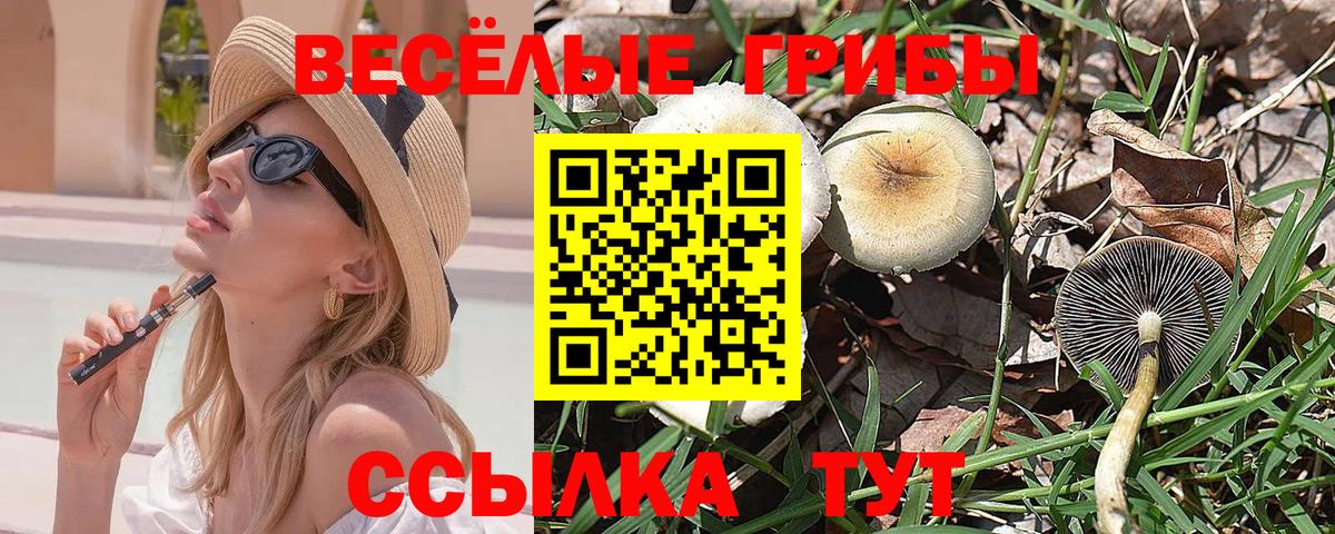 Псилоцибиновые грибы Psilocybine cubensis  сколько стоит  Балтийск  Вход с VPN 