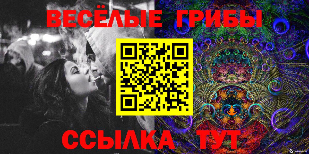 Галлюциногенные грибы GOLDEN TEACHER Балтийск