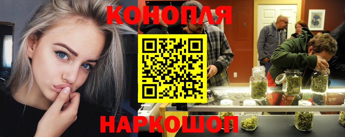 Конопля план  Балтийск  Бошки Шишки планчик  Конопля семена 